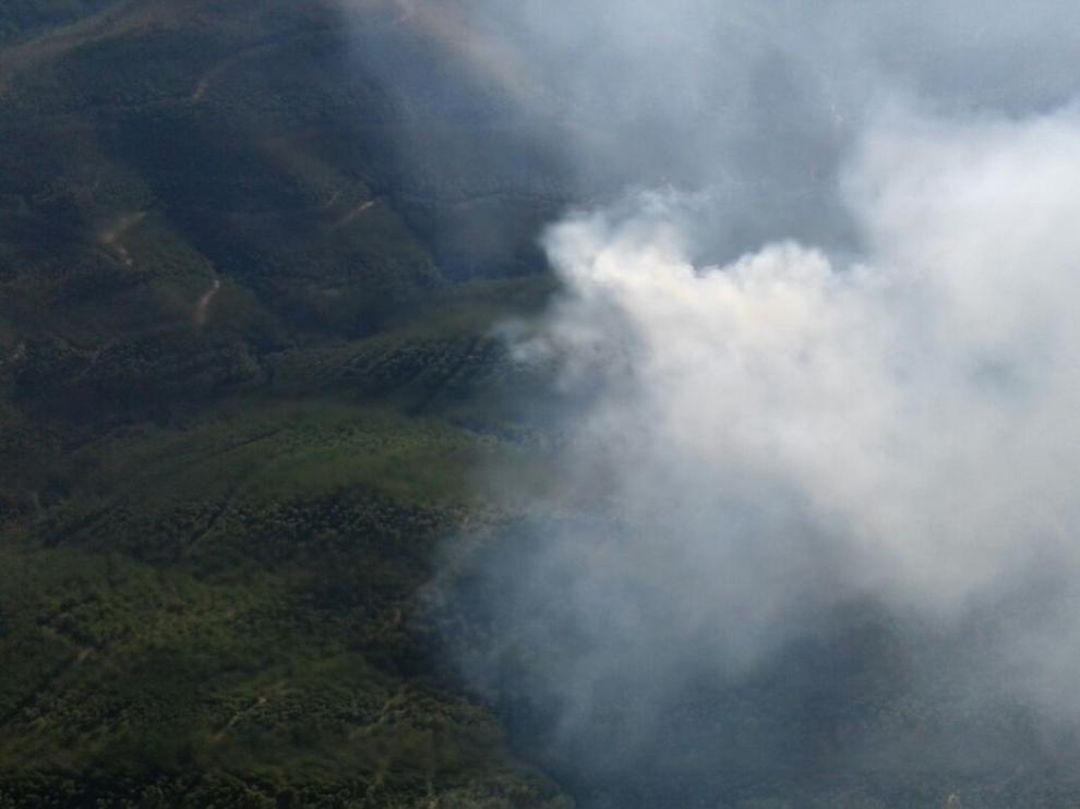 Esta semana ha habido varios incendios forestales, uno en Las Peñas de Riglos.