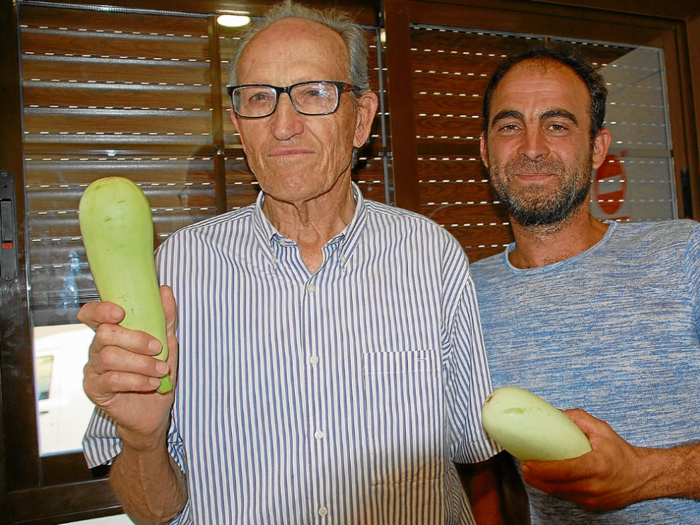 Los agricultores Francisco Lamata y Rubén Pérez, con el calabacín de guías autóctono de Mallén (Zaragoza).