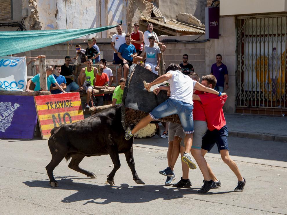 La vaca de la ganadería Hermanos Marcén Romero levantó por los aires a uno de los mozos.