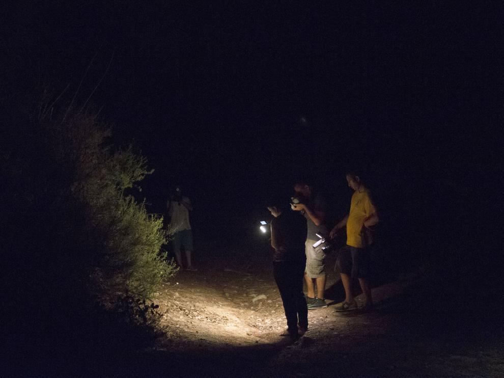 Una patrulla encontró a Younes Abouyaaqoub agazapado en un viñedo.