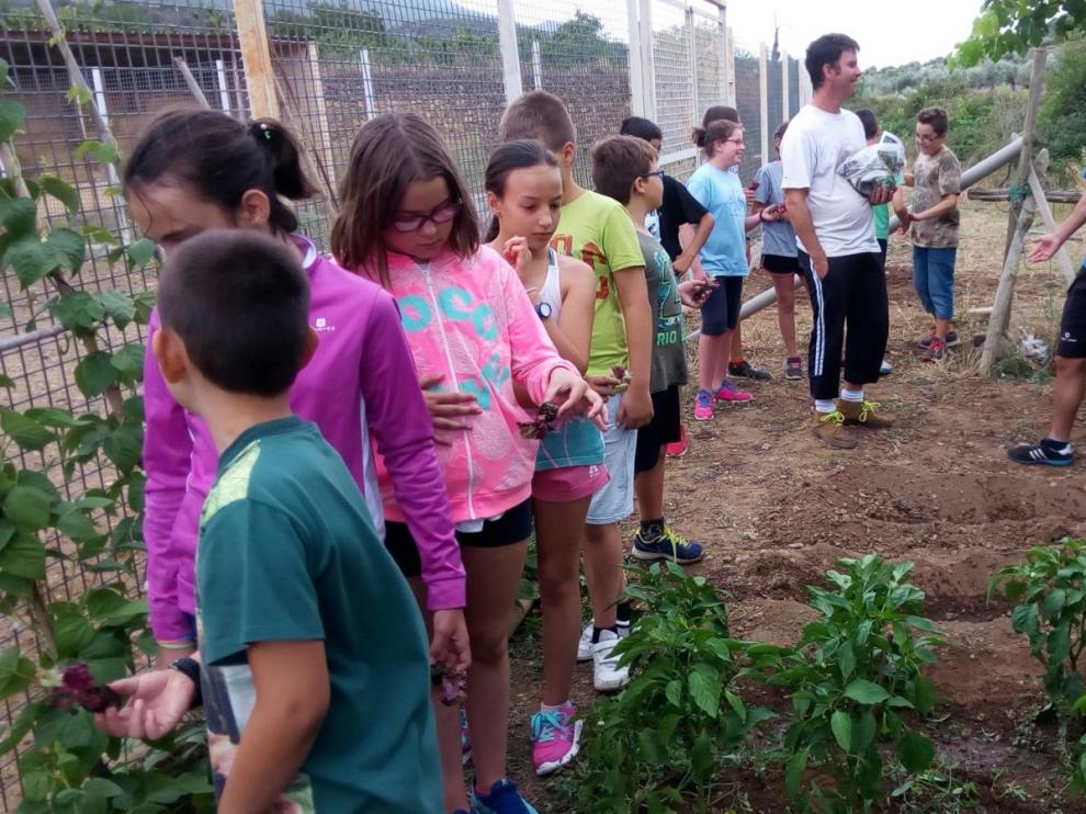 Imagen de la granja escuela El Casón de Tobed