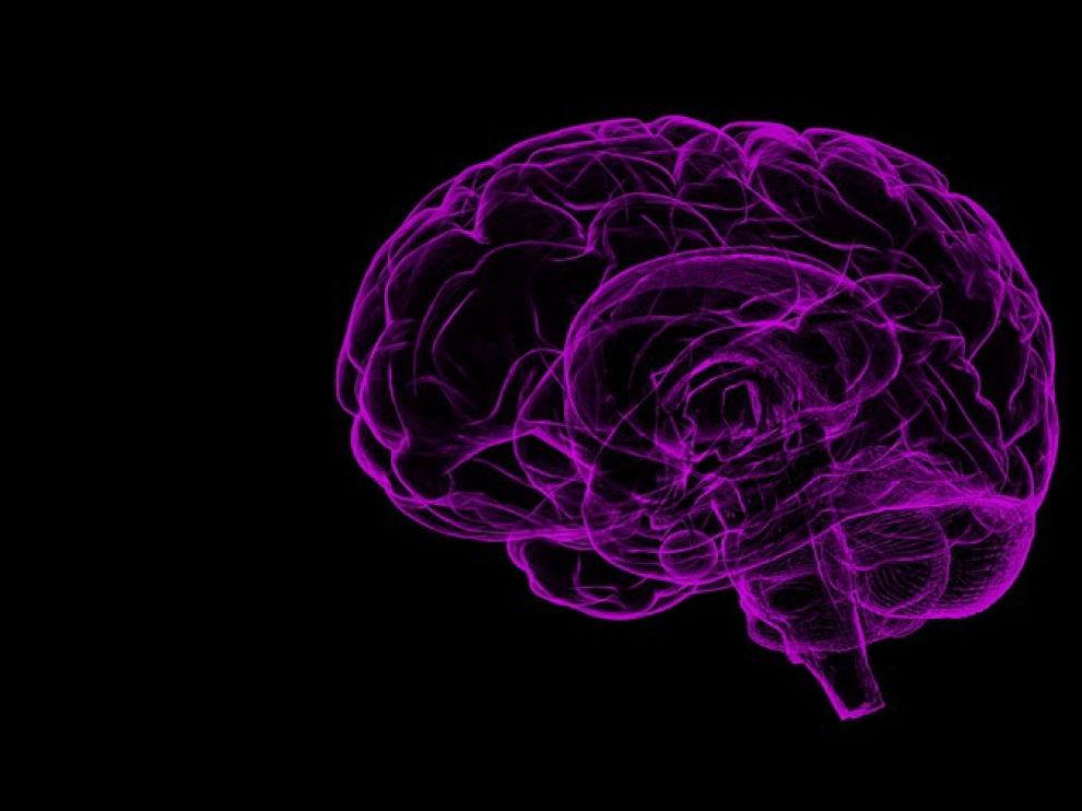 Las investigaciones actuales sobre la esquizofrenia se centran en tres células cerebrales.