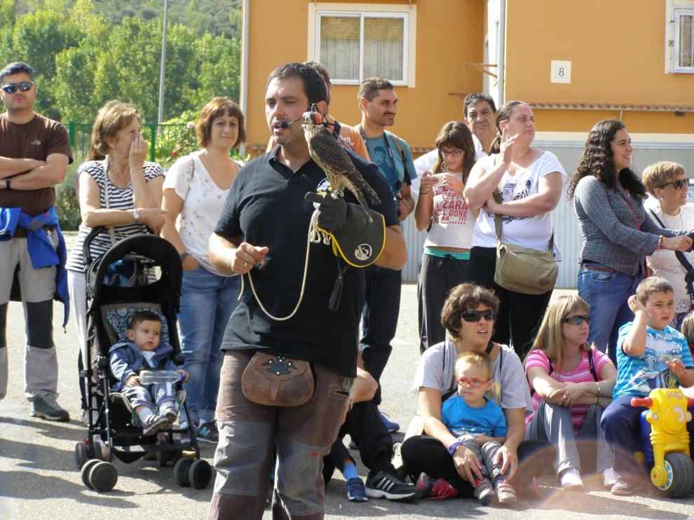 La exhibición de vuelo de las aves rapaces es una actividad fija de la programación.