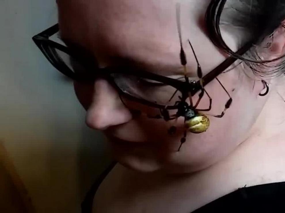 Aterradora araña se pasea por la cara de una mujer