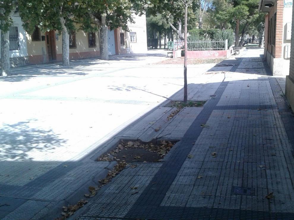 La falta de árboles es una de las cuestiones que demandan los vecinos de La Jota
