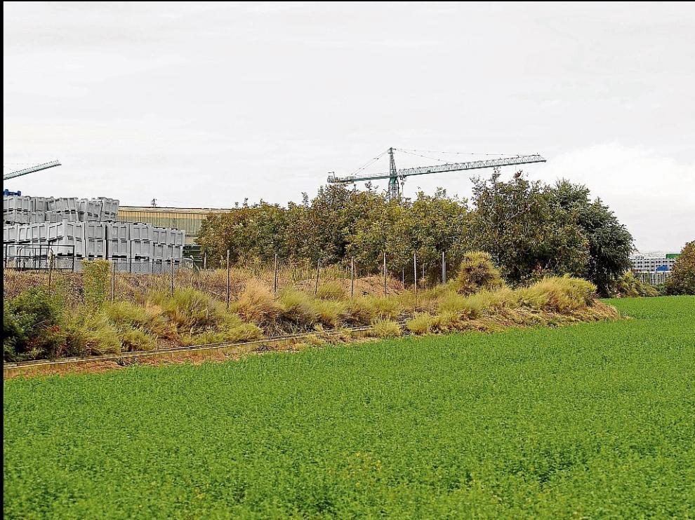 Terrenos que ha adquirido el Ayuntamiento de Fuentes para la ampliación del polígono industrial.