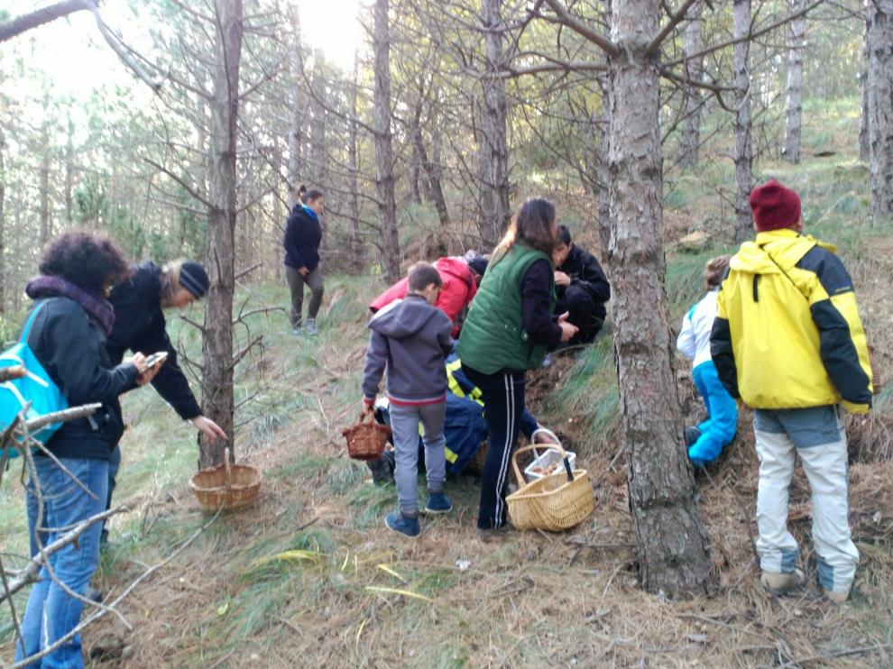 Una de las citas micológicas del año pasado desarrollada en Urriés.