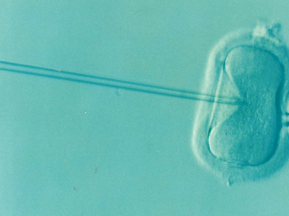 La vitrificación de óvulos es una técnica de reproducción asistida que permite la congelación del material reproductivo.