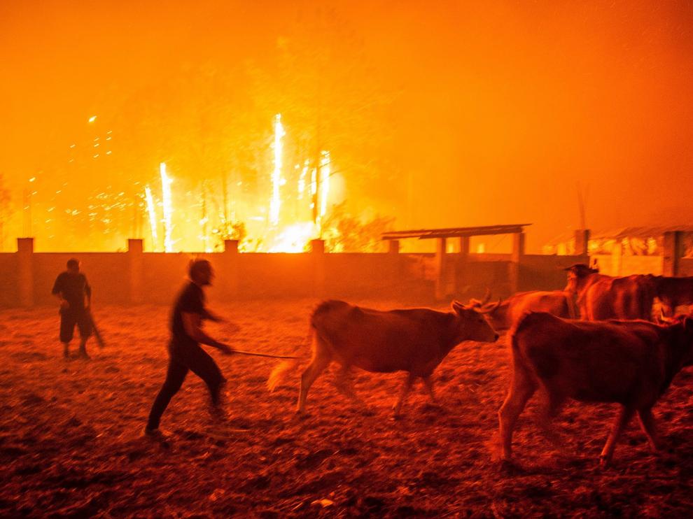 Varios incendios azotan el centro y norte de Portugal.