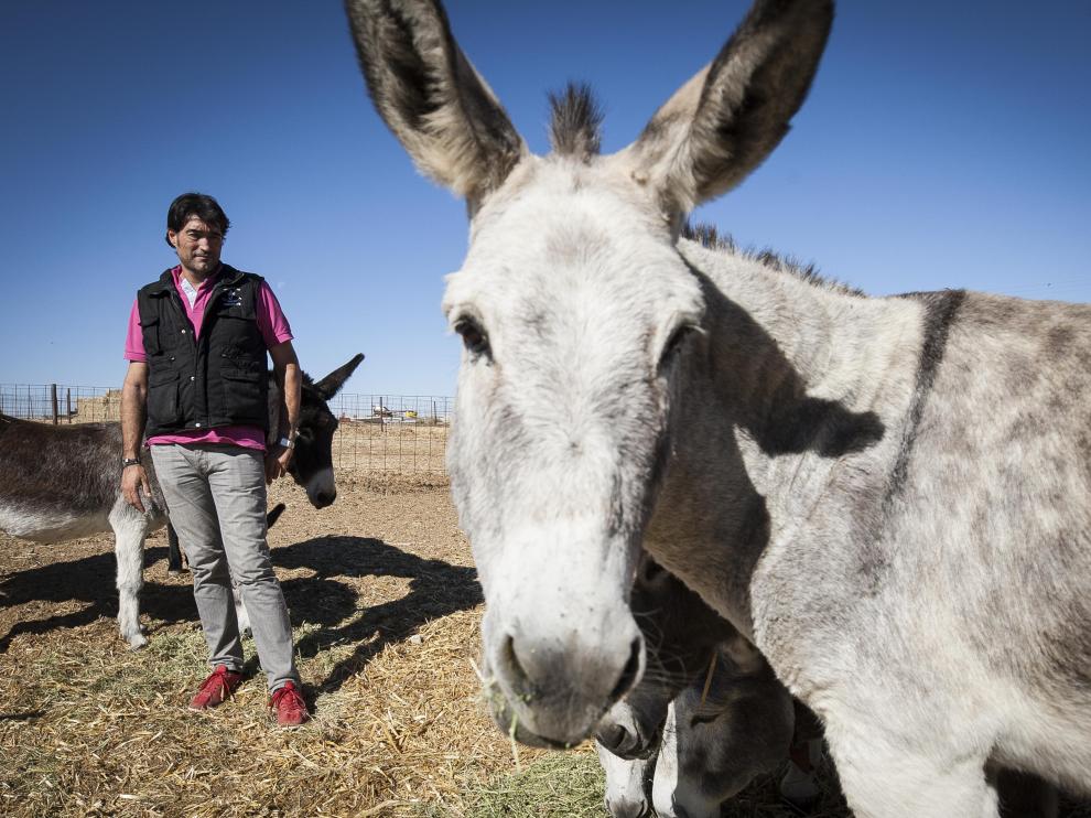 Jaime Serrano y dos de sus animales en la granja-escuela El Capricho.