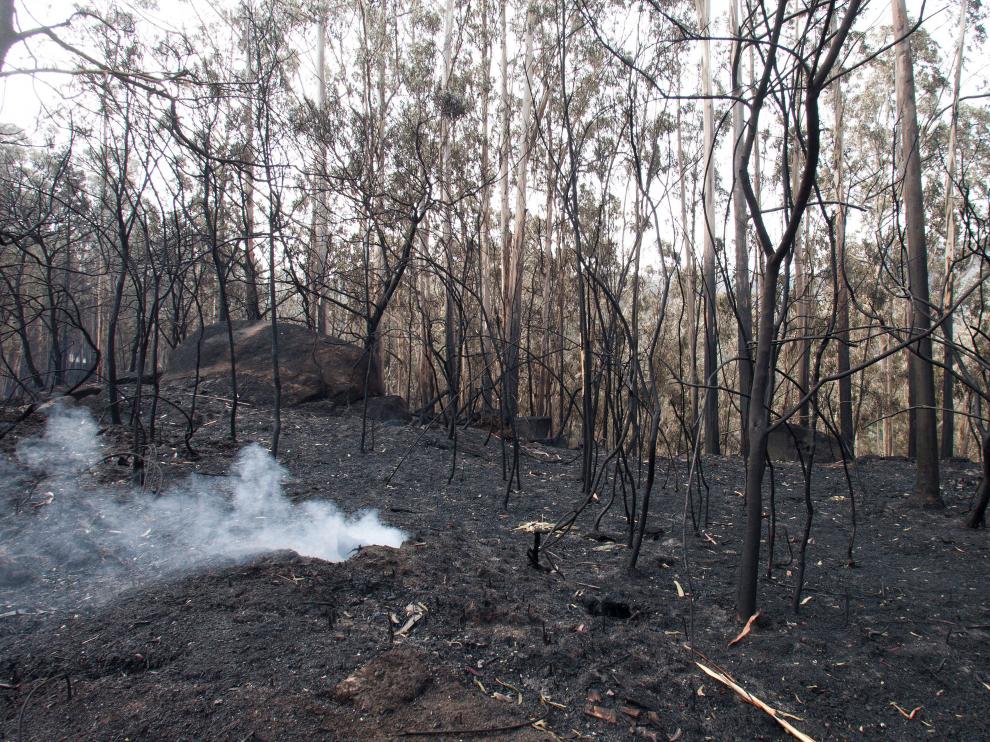 35.500 hectáreas se han quemado en Galicia.