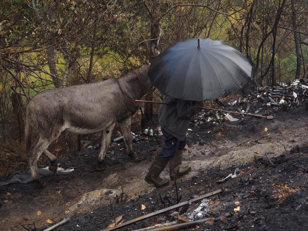 Huella de los incendios en el municipio de Cervantes