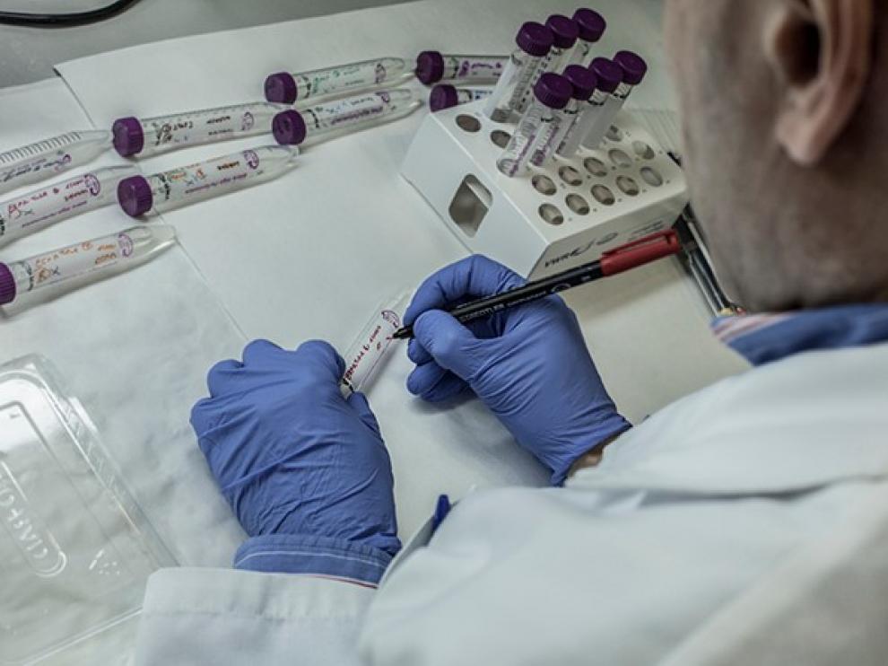 Un trabajador en uno de los laboratorios de la biotecnológica Pangaea.