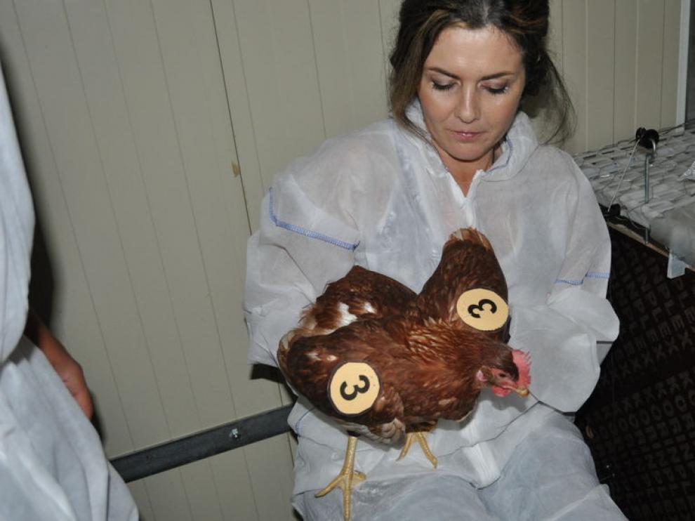 Inma Estévez, bióloga en el Instituto Neiker-Tecnalia, estudia el comportamiento animal