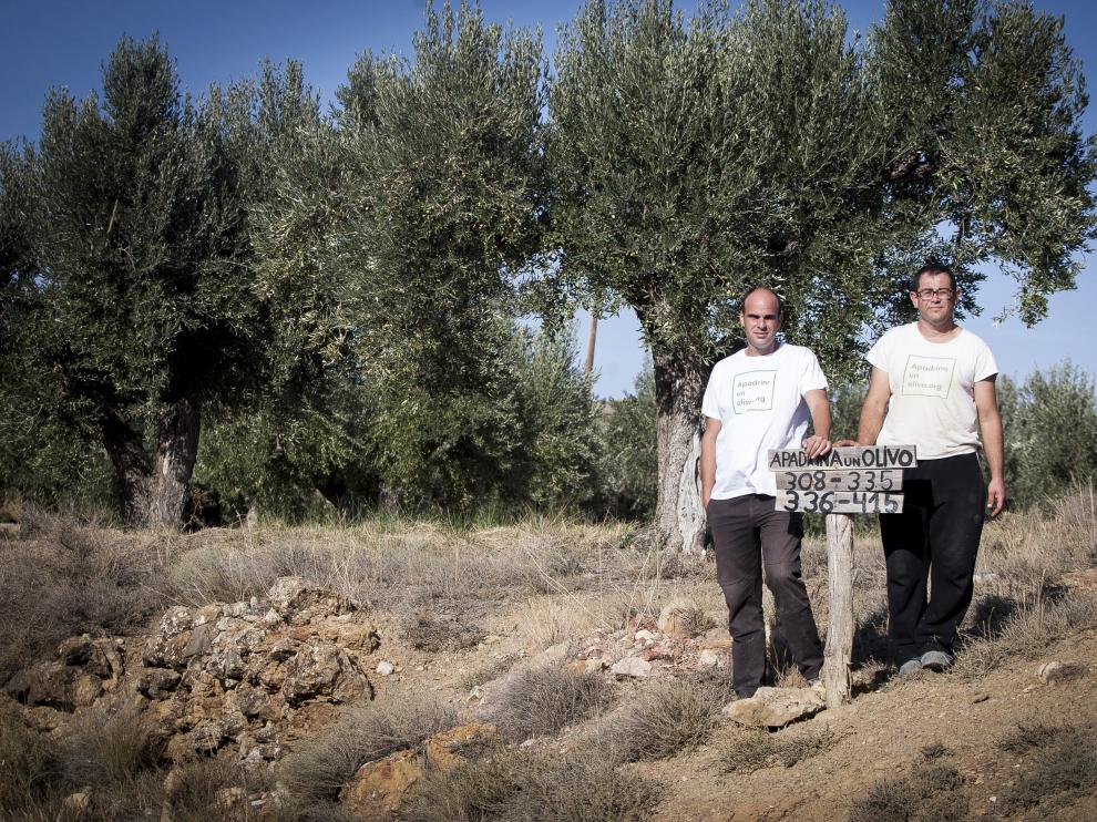 David Pradas y José Manuel Candial, en una de las parcelas rescatadas por Apadrina Un Olivo. laura uranga Vista de Oliete.
