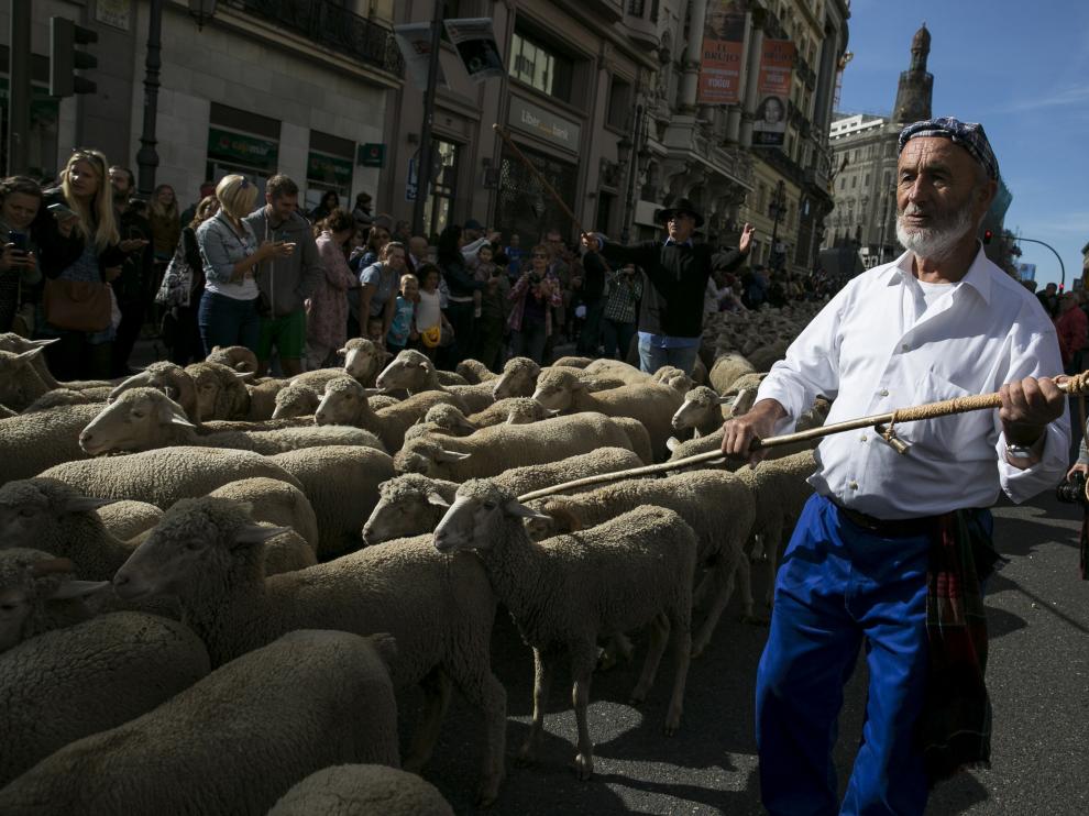 Fiesta de la Trashumancia en Madrid