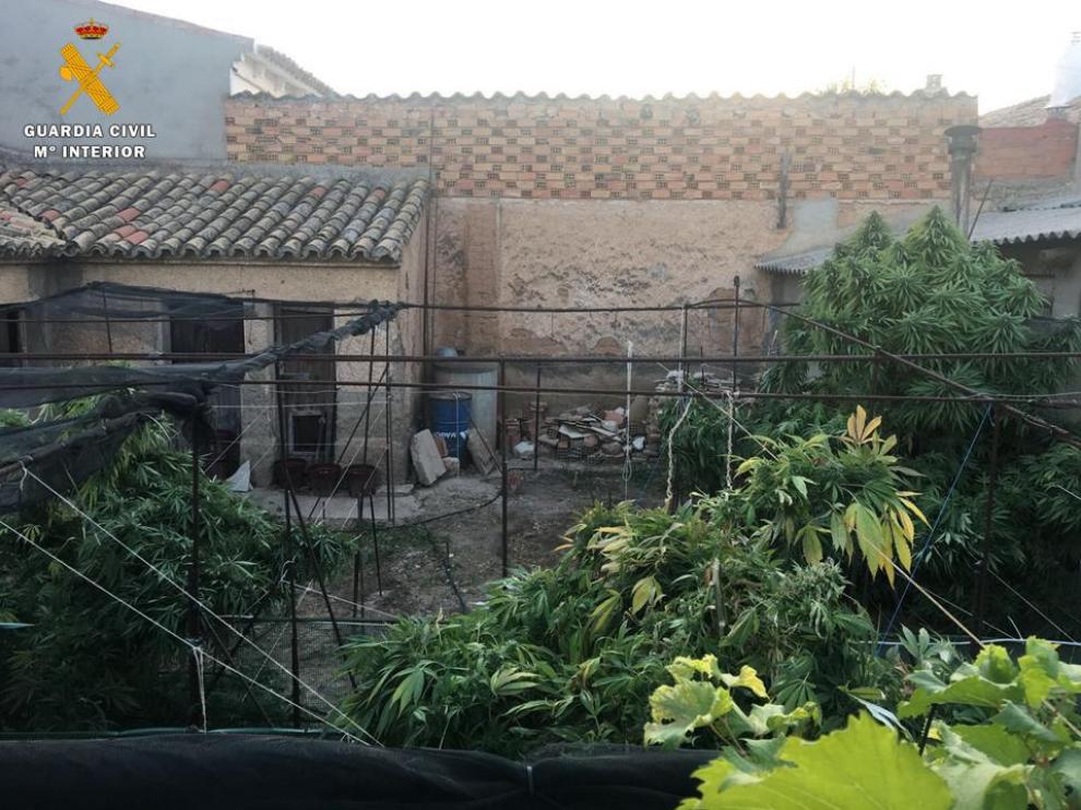 Los moradores de este domicilio, un hombre y una mujer, de 47 y 37 años y nacionalidad rumana, fueron detenidos por un presunto delito contra la salud pública por cultivo o elaboración de droga y otro de tráfico de estupefacientes.