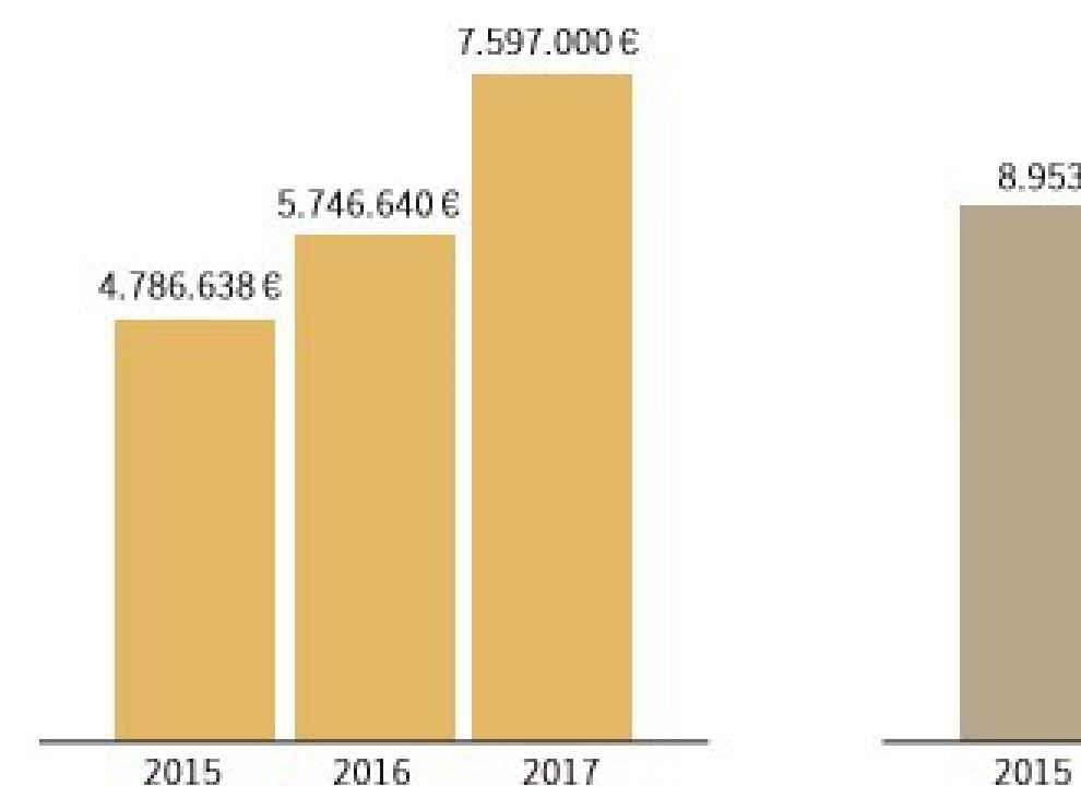 Importe de las convocatorias. Número de las solicitudes, Las resoluciones de 2017.