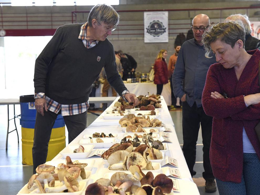 Los organizadores esperan alcanzar como mínimo las 140 especies recolectadas el año pasado