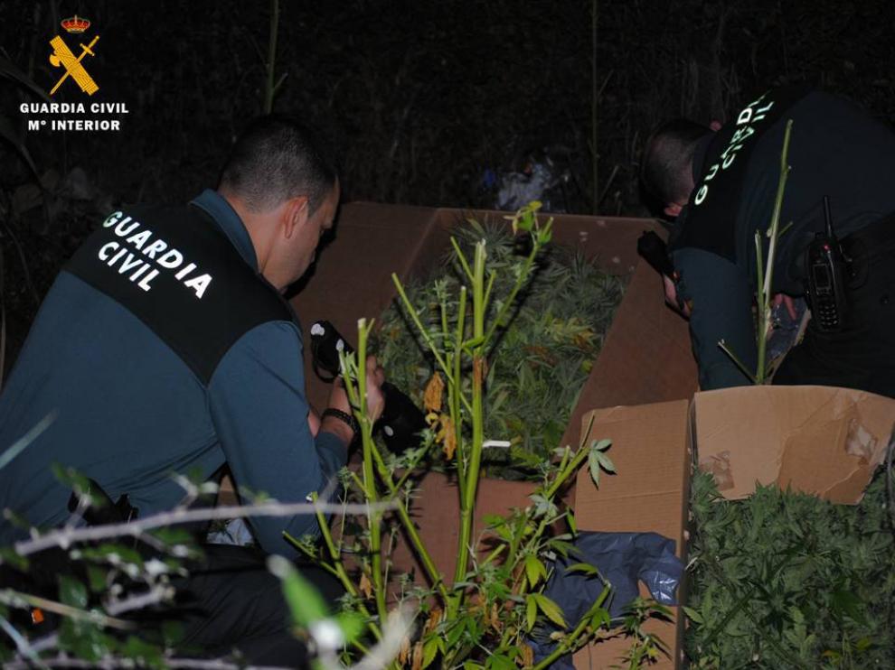 Los agentes de la Guardia Civil, durante la apertura de las cajas que contenían marihuana.
