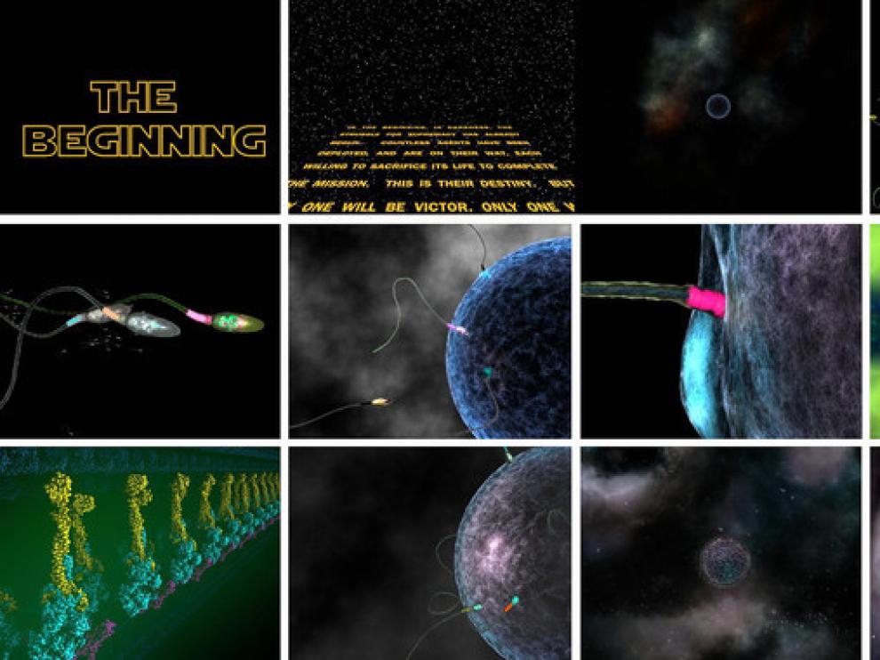 Storyboard general del cortometraje The Beginnig