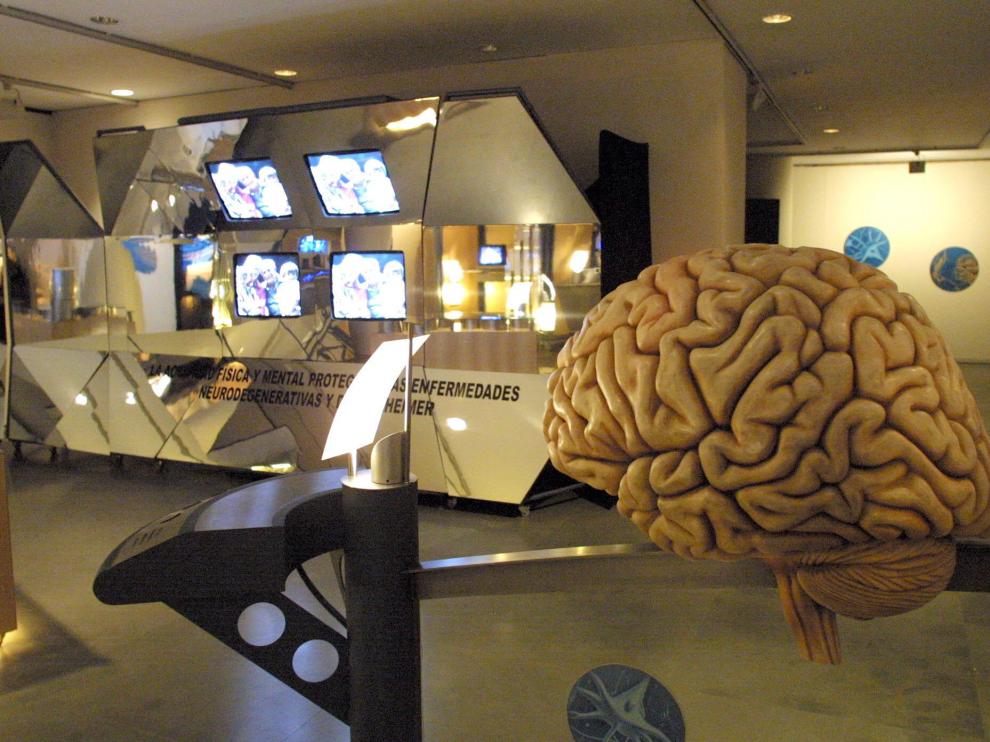 El test de IQ mide el Coeficiente Intelectual