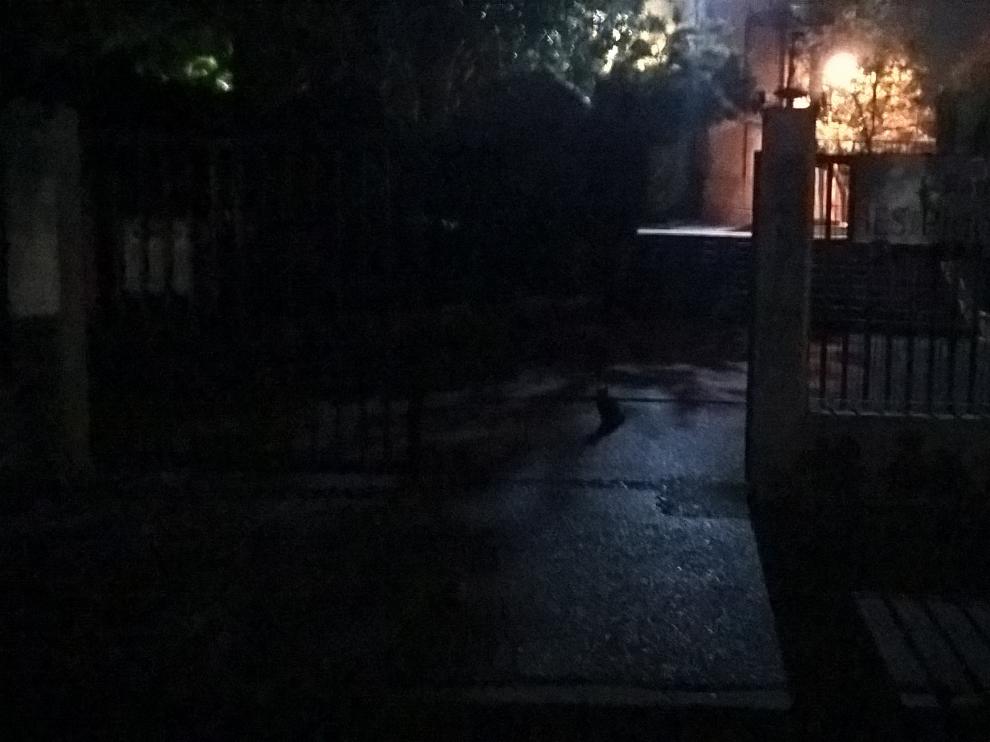 La entrada del IES Pignatelli