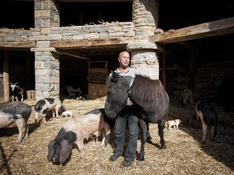 Xavi Pujol conduce a uno de sus burros a la orilla del río.