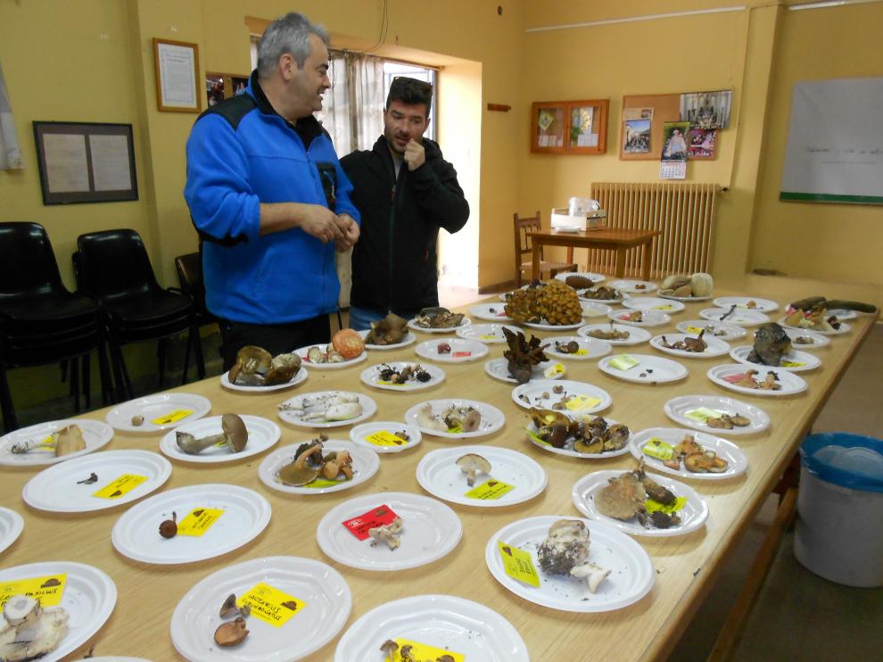 Exposición de las especies recolectadas en las jornadas de San Martín, el pasado fin de semana