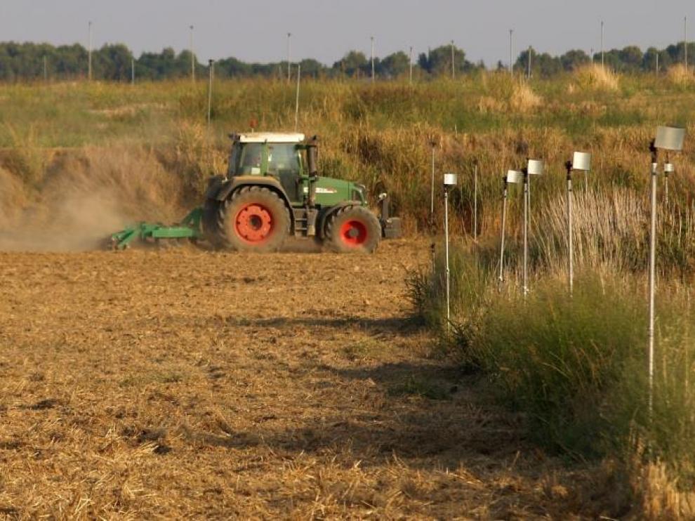 Trabajos de labranza en una explotación de Huesca para preparar la tierra para la siembra de cereal.