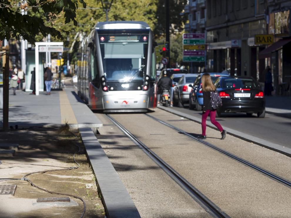 Mal estado de los parterres de Gran Vía y Fernando el Católico