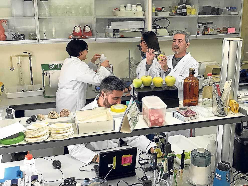 Un equipo de investigación de la Estación Experimental Aula Dei.