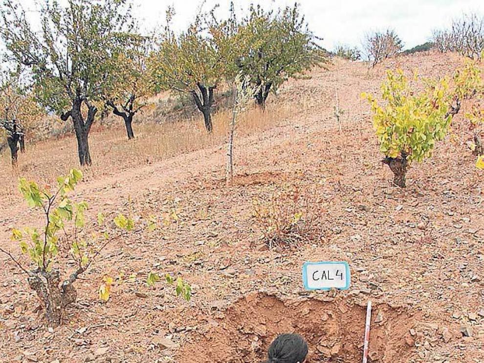 Unos técnicos toman muestran del suelo en una de las calicatas.