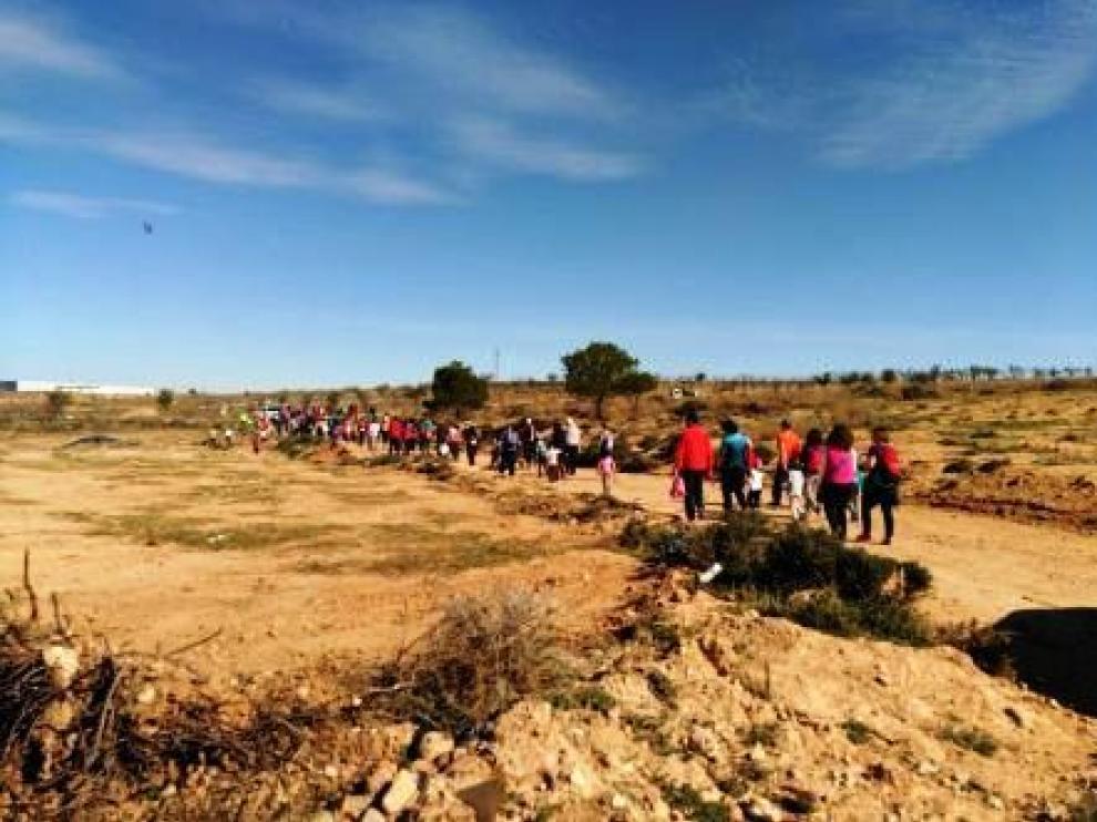 El monte de La Cuesta consta de 650 hectáreas.