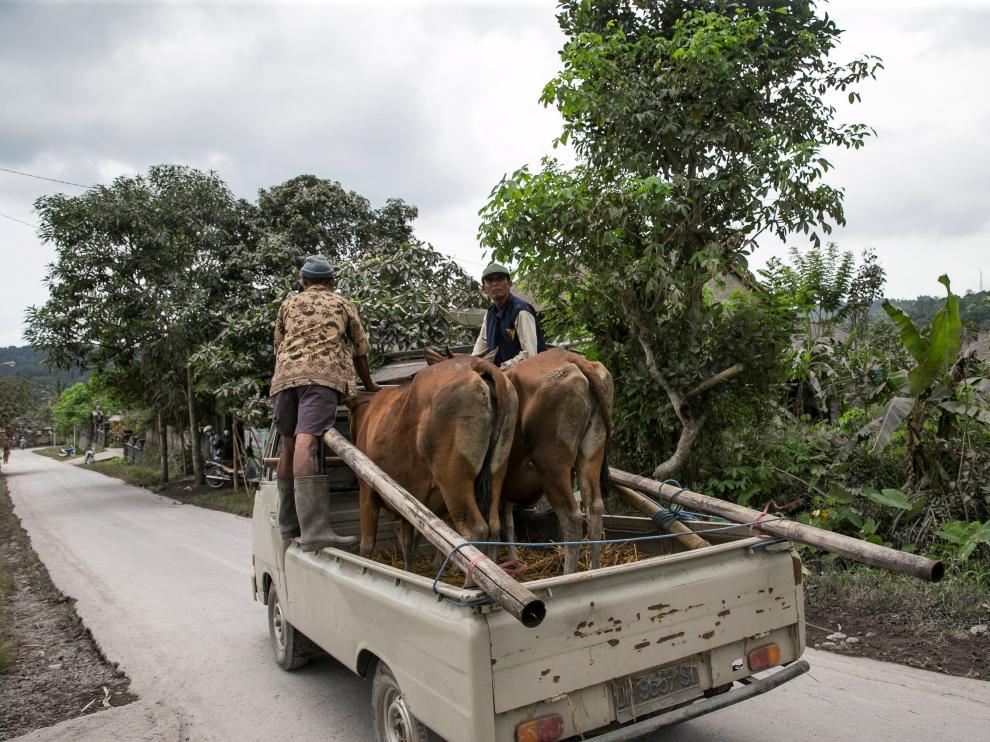 Unos 100.000 evacuados y 59.000 pasajeros afectados por volcán Agung en Bali