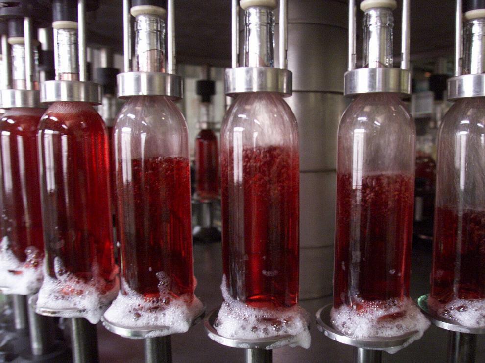 Embotelladora de Grandes Vinos, la bodega más grande de la D. O. Cariñena