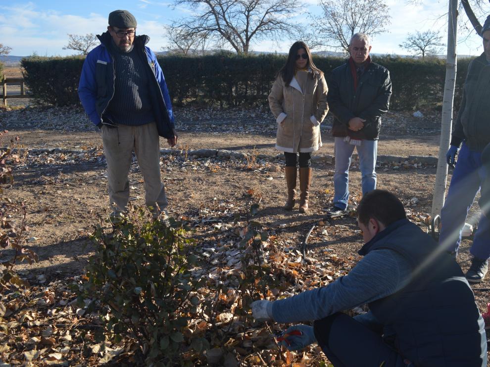 Prácticas de jardinería con operarios en Villarquemado.