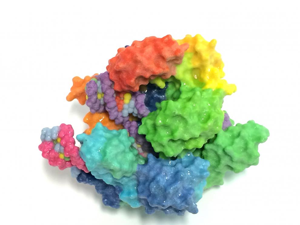 Crispr utiliza una proteína (Cas9, en la imagen) para cortar zonas elegidas del ADN