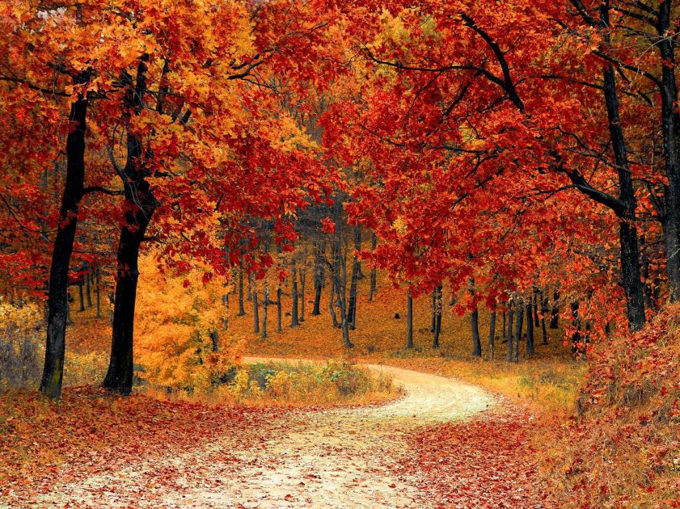 Colores de otoño.