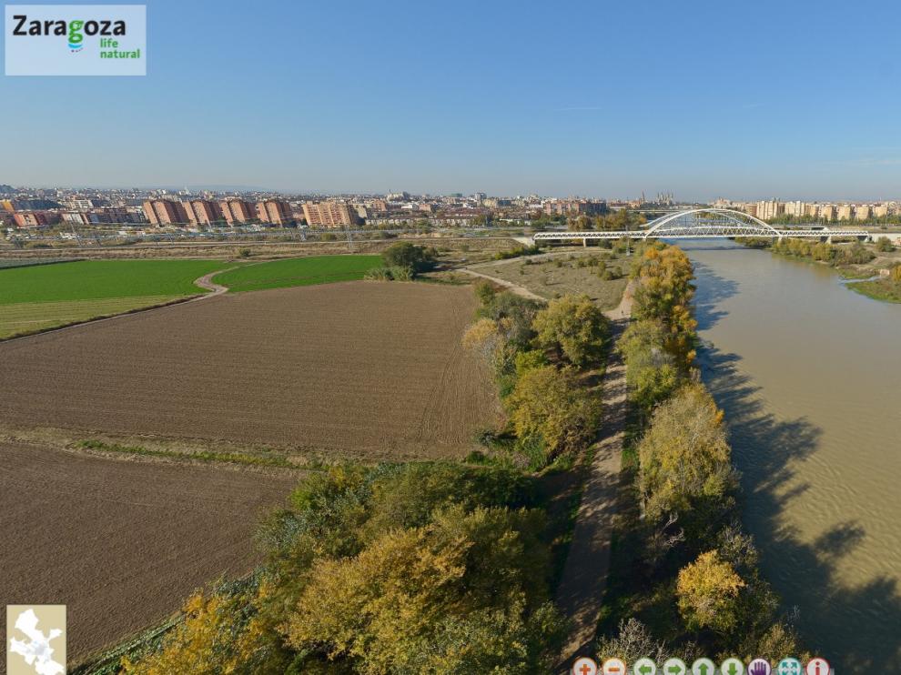 Una imagen panorámica que se enmarca dentro del proyecto 'Life Zaragoza Natural'.