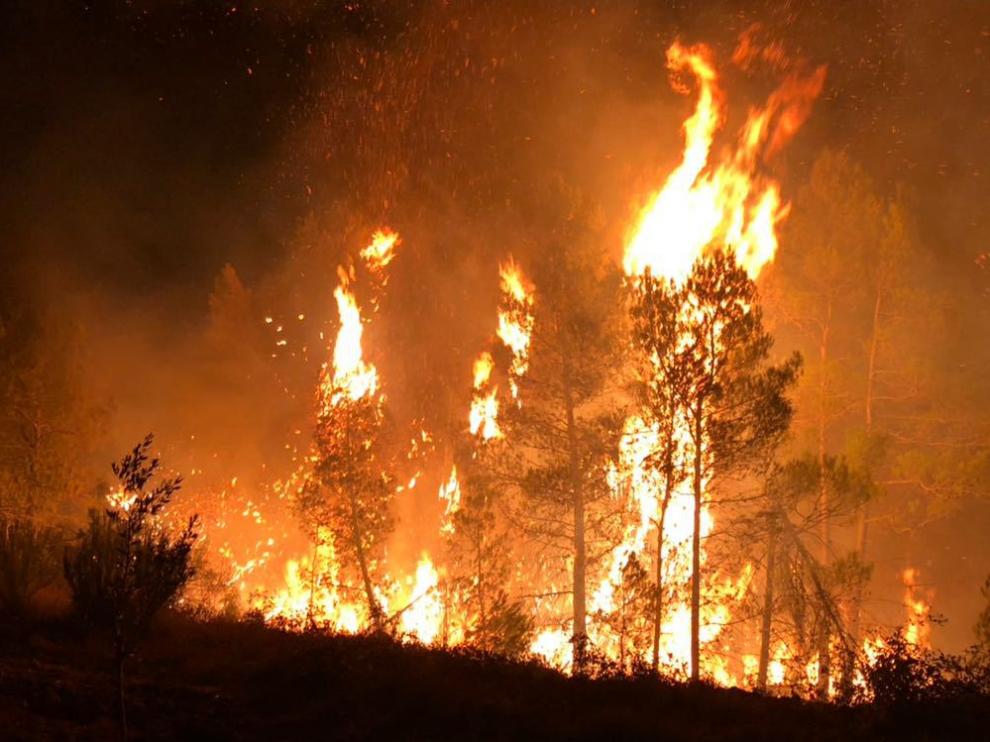 Cinco medios aéreos se unen a la lucha contra el fuego en Valderrobres