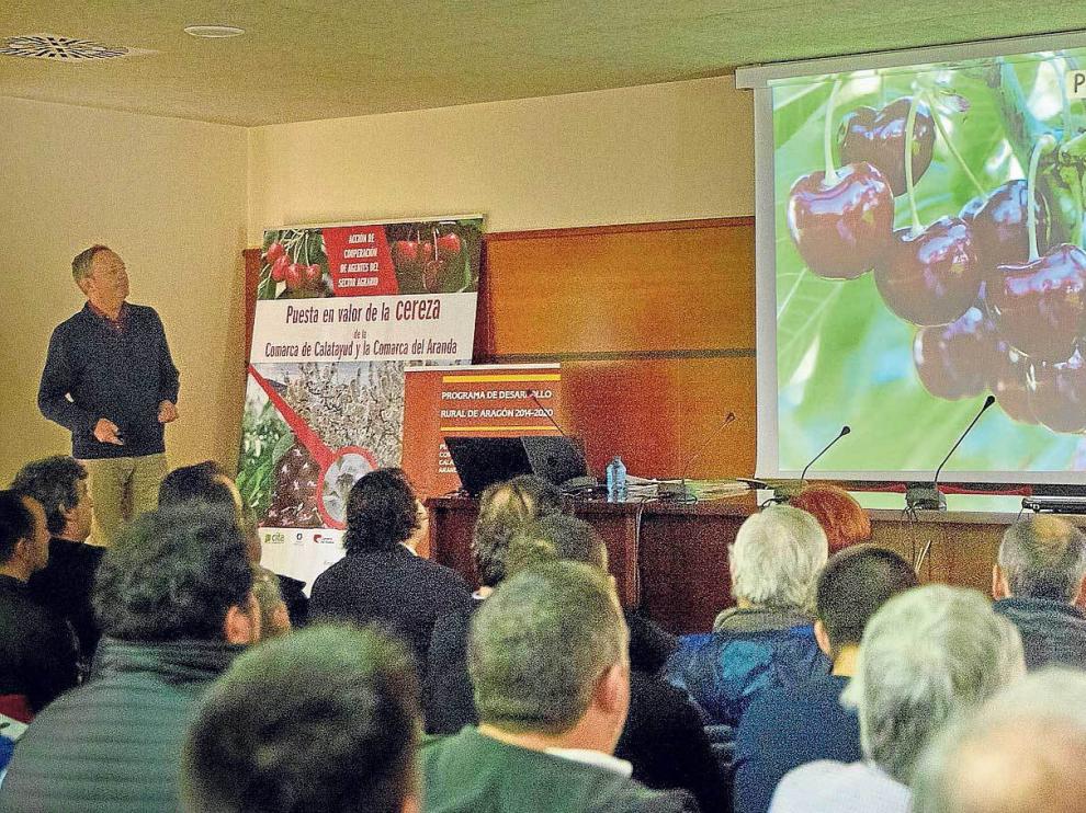 Jornada para la presentación de los primeros resultados del estudio sobre la calidad de las cerezas.