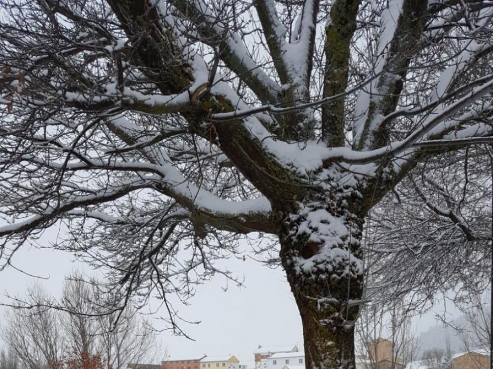 Paisaje cubierto por la nieve en Griegos.