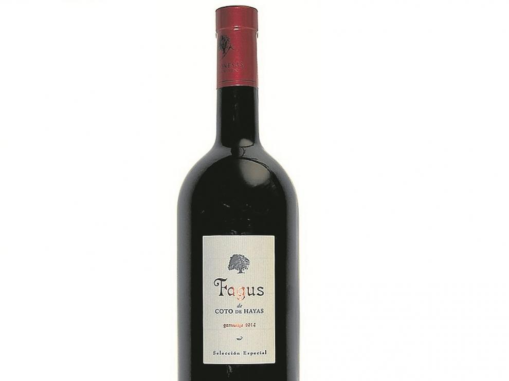 Vino Fagus Coto de Hayas 2014.