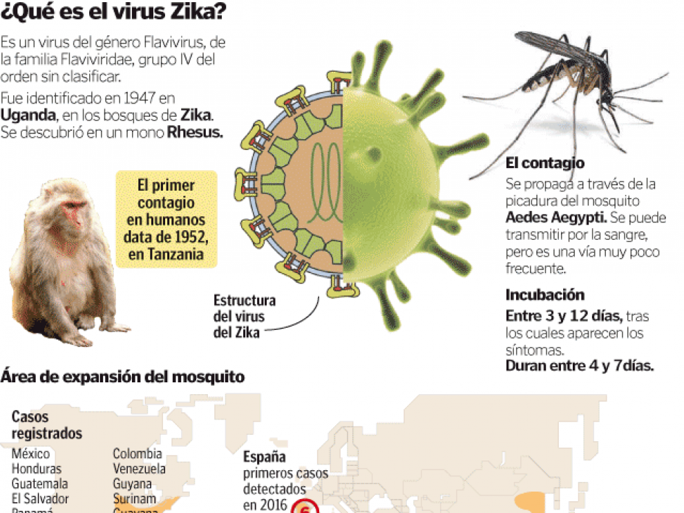 ¿Qué es el virus Zika?