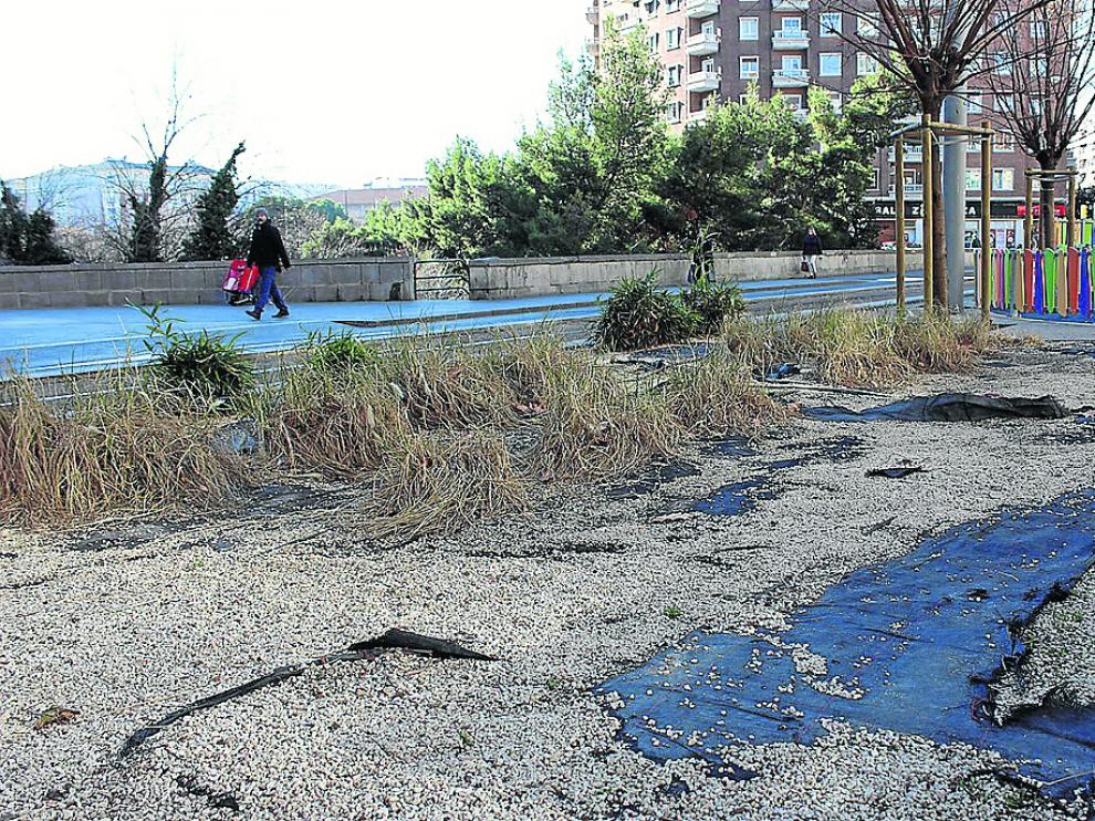 La llamada xerojardinería no ha funcionado en la traza tranviaria, donde apenas resisten cintas y piedras.