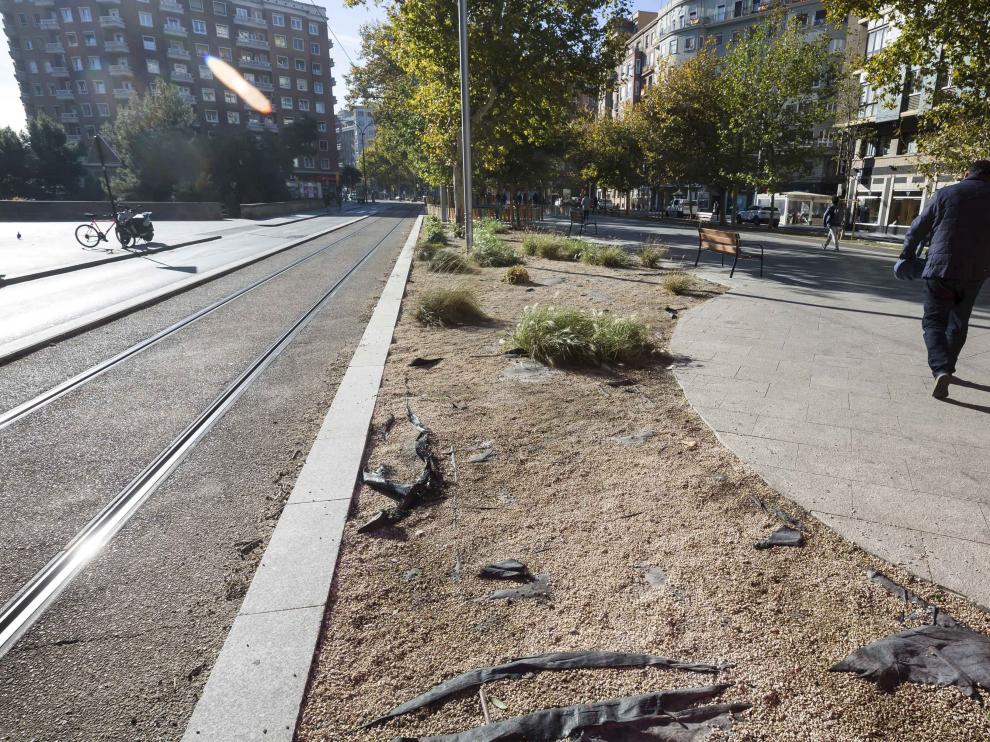 El mal estado de los parterres y jardineras de la traza del tranvía genera quejas entre los vecinos.
