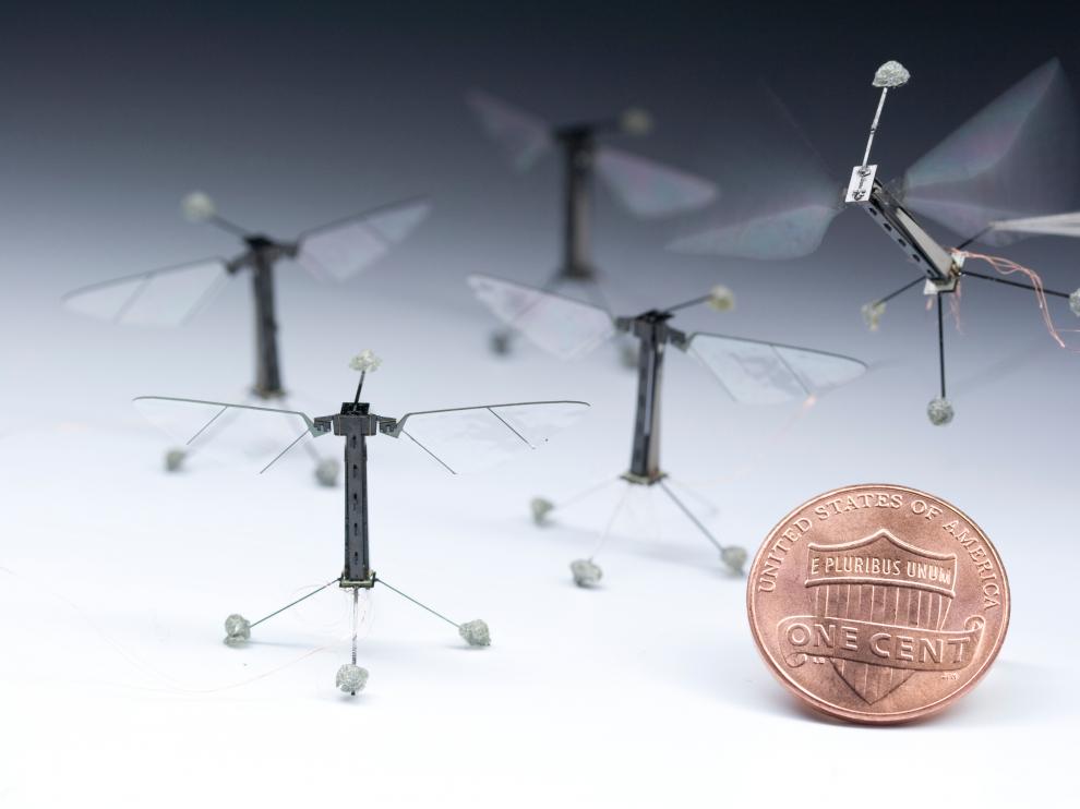 Pequeños 'robobees', de apenas 80 miligramos de peso, desarrollados en Harvard