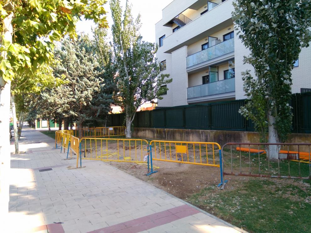 Falta de arbolado en los parterres de la avenida de la Ilustración