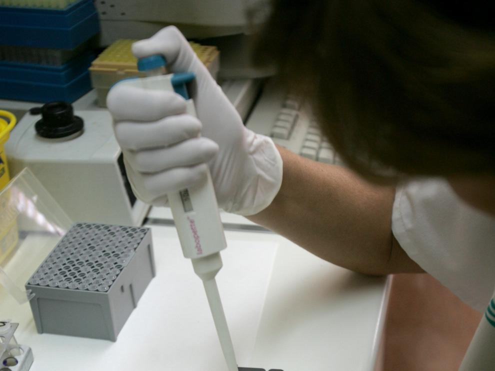 Uno de los equipos de investigación de la Universidad de Zaragoza